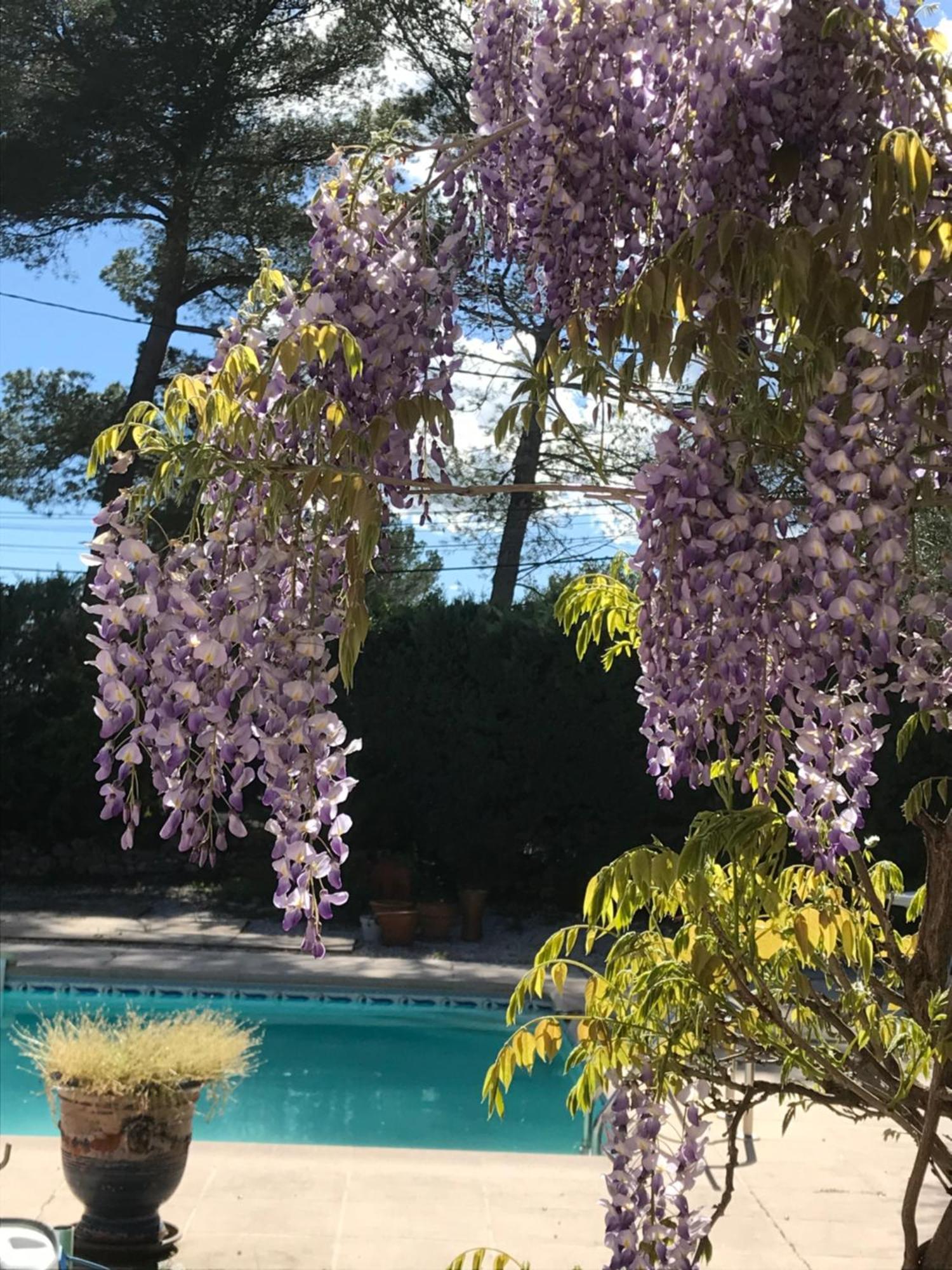 Le Patio Fleuri Hotel Lorgues Luaran gambar